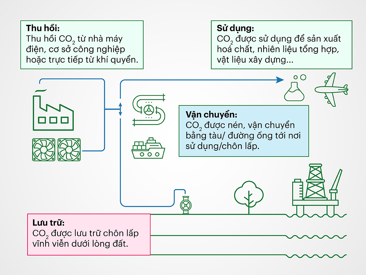 lưu trữ và thu hồi carbon